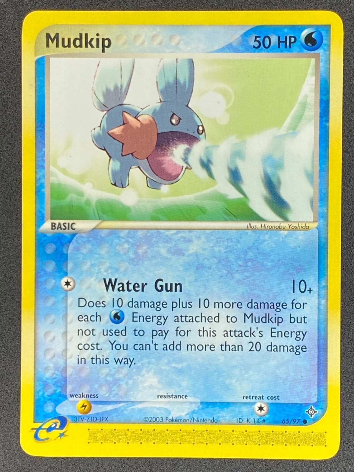 Pokémon Mudkip 65/97 DR EX Dragon NM