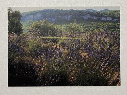 Landscape Near Maison Vial Provence France Vintage Postcard Unused Unposted - 第 1/2 張圖片