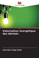Amrinder Singh Sethi | Valorisation éNergéTique Des DéChets | Taschenbuch (2025)