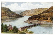 AR Quinton Rhayader Carreg Ddu Reservoir Radnorshire 2165 pre 1920 Art Postcard