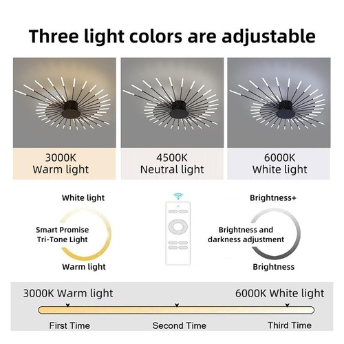 Indoor Decorative Ceiling Lighting,Ceiling Lights with Remote Control,For Aisle