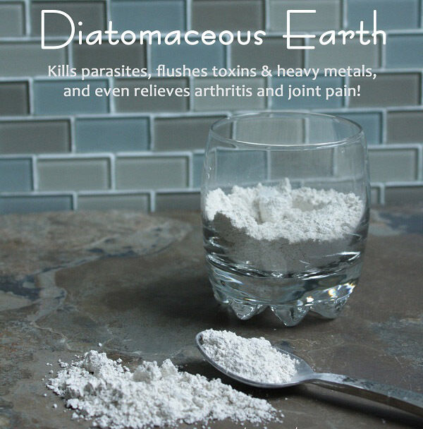 120 Diatomaceous Earth Capsules - #1 Natural Silica,Detox,Heavy Metals,Immunity
