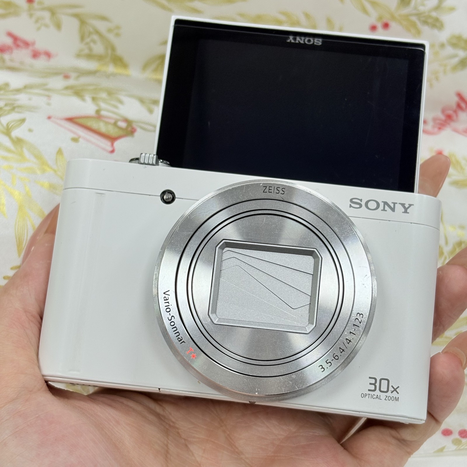 Sony Cyber-shot DSC-WX500 18.2MP Digital Camera 30x Optical Zoom English
