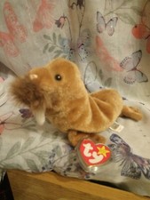 Ty Beanie Babies Baby Paul the Walrus with Tags and protector 1999 Retired.  d*