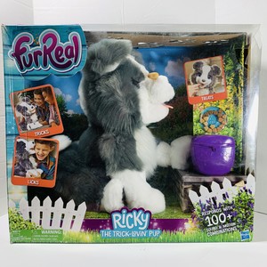 ricky toy dog