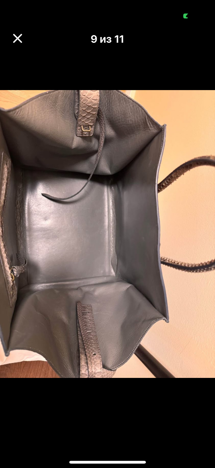 celine python - image 3