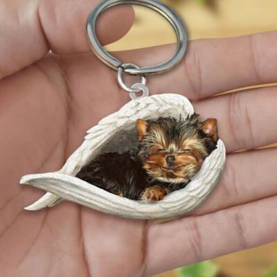 Niedlicher, lustiger schlafender Engel, Hundeflügel, hängender Ornament-Schlüs  