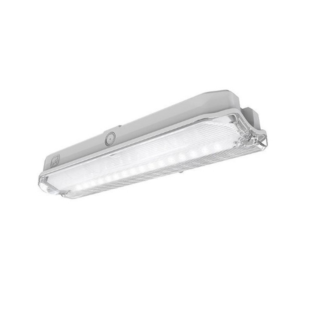 Ansell AGLED/3M Guardian LED Maintained Emergency Bulkhead Light Fitting IP65 -