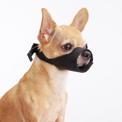 shih tzu muzzle for barking