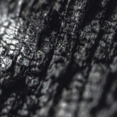 PARALLEL WORLDS - PLECTOR - CD - G4z