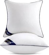 Siluvia 20"x20" Pillow Inserts Set of 2 20x20 Inch (Pack 2), White 