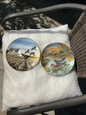 The Set Of Two Plates The Green-winged Teal & Canada Geese In The Autumn  Field