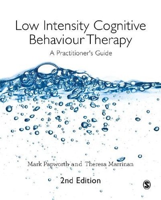 Mark Papworth Low Intensity Cognitive Behaviour Therapy (Taschenbuch)