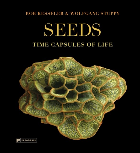 Seeds : Time Capsules Of Life Rob Kesseler - Image 2