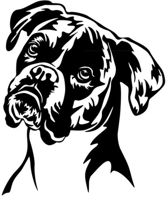 BOXER Aufkleber - Autoaufkleber - sticker - Deutscher Boxer Kopf #96 - Bild 1 von 3