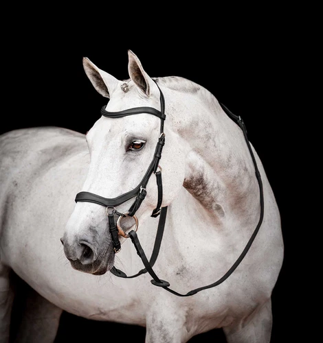 Micklem 2.0 Competition Bridle, Black