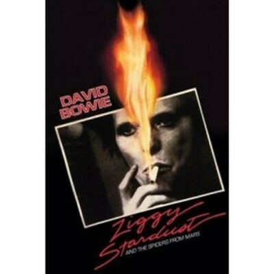 DAVID BOWIE POSTER Ziggy Stardust RARE HOT NEW 24x36 - PRINT IMAGE PHOTO