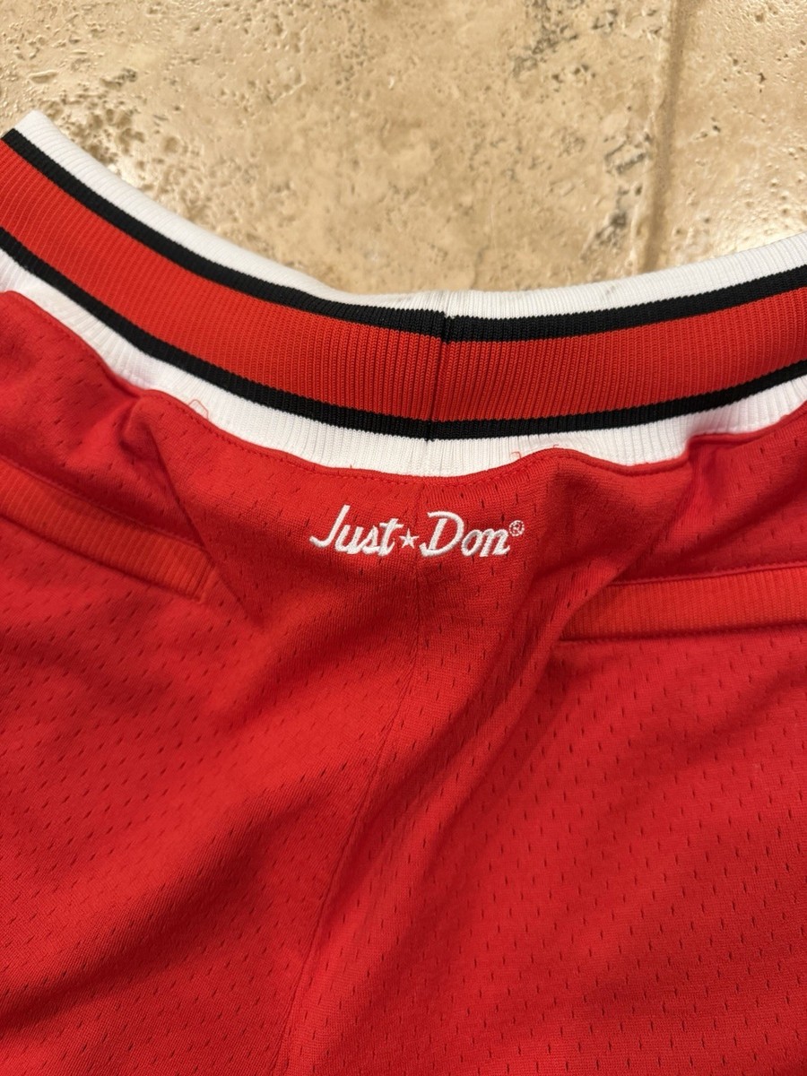 Just Don Mitchell & Ness Chicago Bulls Red Basketball Shorts View 5