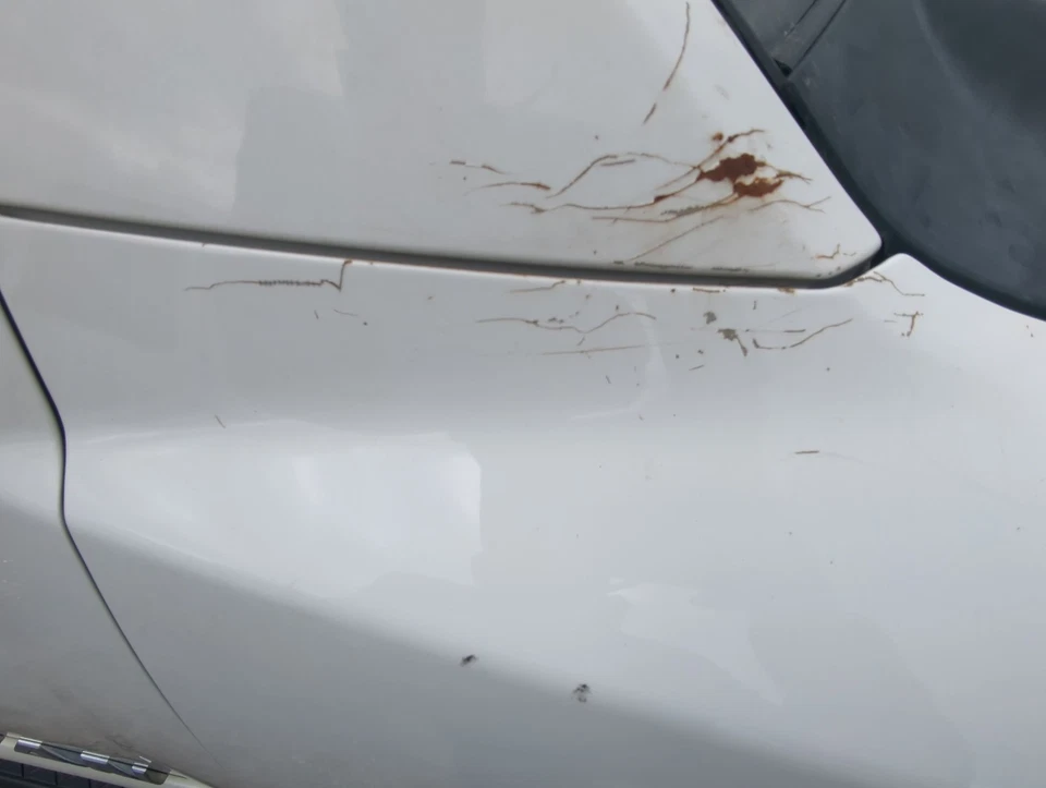 Para-lama de passageiros Nissan Titan VSA93 2005-2015 - Imagem 3 de 3