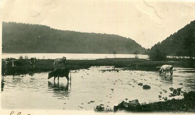 Ausflug zum Igel Lac du Val Menetrux en Joux et Doucier