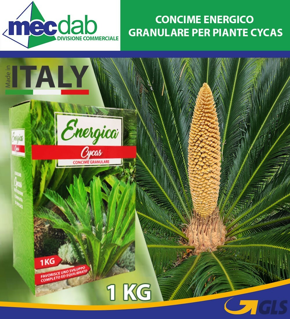 Concime Granulare Energico Per Pianta Di Cycas Confezione Da 1Kg