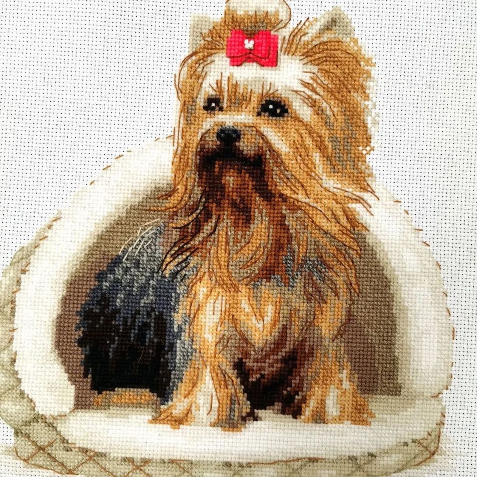 Canevas point compté Yorkshire Terrier pour s'initier aux loisirs créatifs