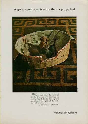 1969 San Francisco Chronicle Puppies Bed 4th Estate Newspaper Vintage Print Ad