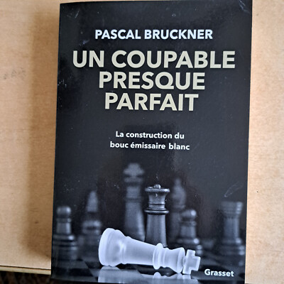 Ein fast perfekter Täter Pascal Bruckner NEU