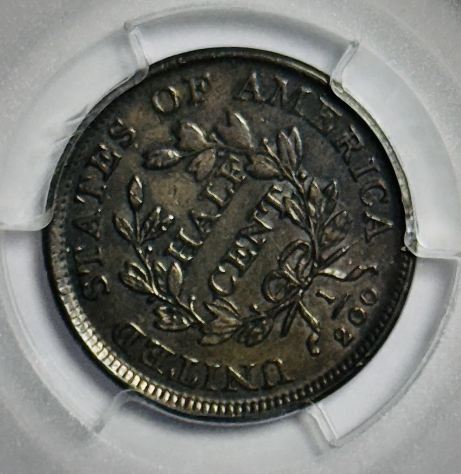 1808 Draped Bust Half Cent - PCGS VF30 - Image 4 of 4