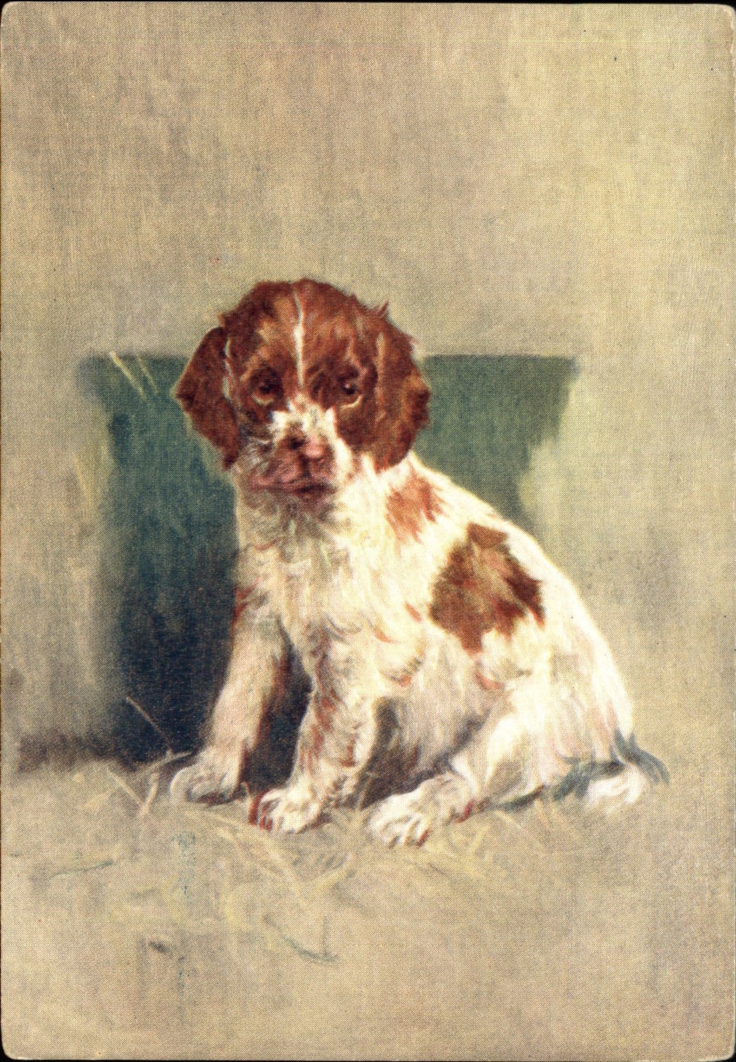 WELSH SPRINGER SPANIEL puppy dog red spots De Reszke Cigarette advertising