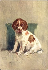 WELSH SPRINGER SPANIEL puppy dog red spots De Reszke Cigarette advertising