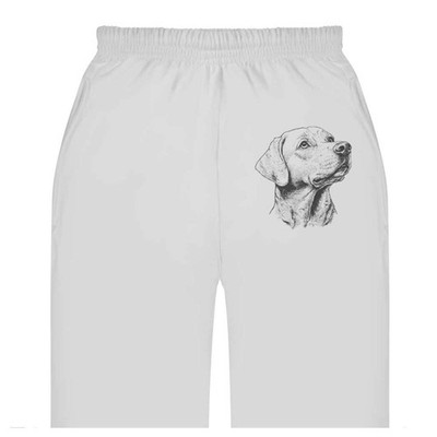 ''Labrador Retriever'' Jogginghose / Jogger für Erwachsene (JO052035)