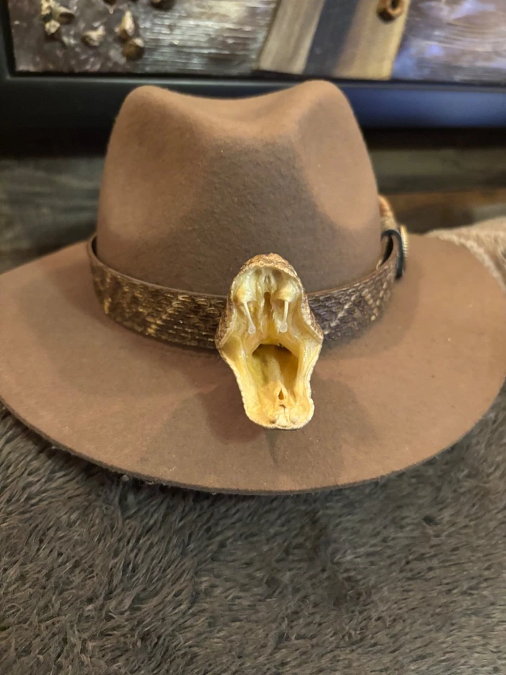 Real Diamondback rattlesnake hat band with With Head and Rattles. - Image 2 of 4