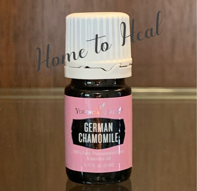 YOUNG LIVING * German Chamomile * Essential Oil NEW SEALED 5ml eBay