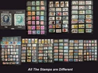 Large US Stamp Collection Including the 1894 Old Rare Stamps US #258 & #259