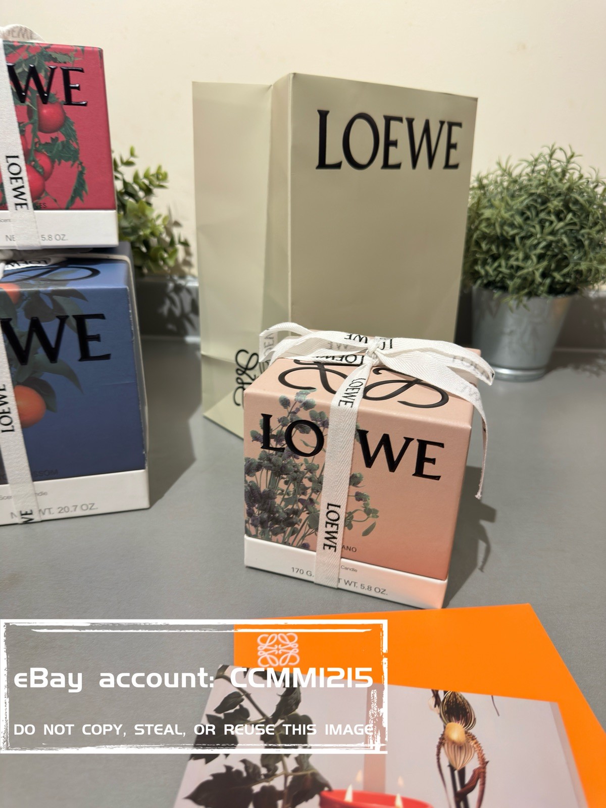 LOEWE Vela de Orégano 170g - Nueva y Precintada - Tarjeta de Regalo y Bolsa Incluidos