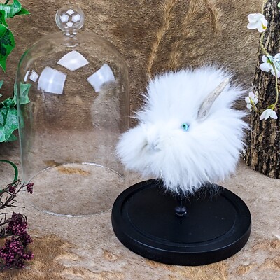 p33m Jackalope Rabbit Head Taxidermy Curiosity oddities Glass Dome Display