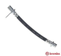 Brembo Bremsschlauch T 83 161 FüR Auris Toyota Verso Corolla NRE150 Dual Vvti