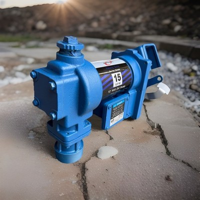 20GPM 12V DC Anti-Explosive Fuel Transfer Pump For Gasoline Gas Diesel Kerosen