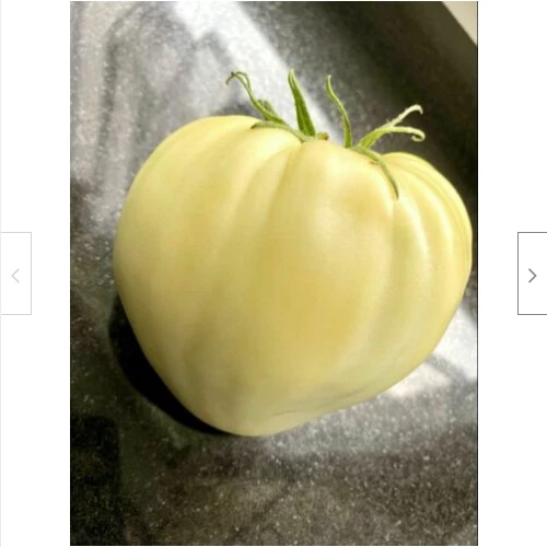 CUOR DI BUE BIANCO, 50 semi di pomodoro GIGANTE - POMODORO GIGANTE + OMAGGIO - Foto 1 di 2