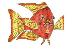 ACEO, PRINT Of My Watercolor Art 💦 , India Ink, Peacock Cichlid Fish