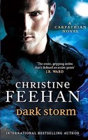 Christine Feehan - Dark Storm Number 23 In Series - Paperback - G245Z