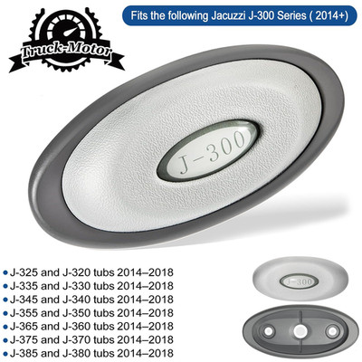 For 2014+ Jacuzzi J-300 Spa Hot Tubs Pillow 2472-824 Pillow Insert + Back Mount