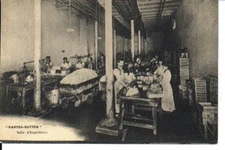 (S-31276) FRANCE - 44 - NANTES CPA