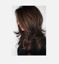 Women Dark Brown w/Gold Highlight Ombre Shoulder Length Wig Synthetic Hair USA