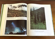 TIMBER COUNTRY; Logging in the Great Northwest-2nd Print June, 1977 by Roberge