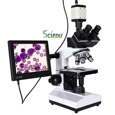 Zoom 2500X Binocular Microscope 8-inch Lcd Screen Compound Lab Double-layer Plat