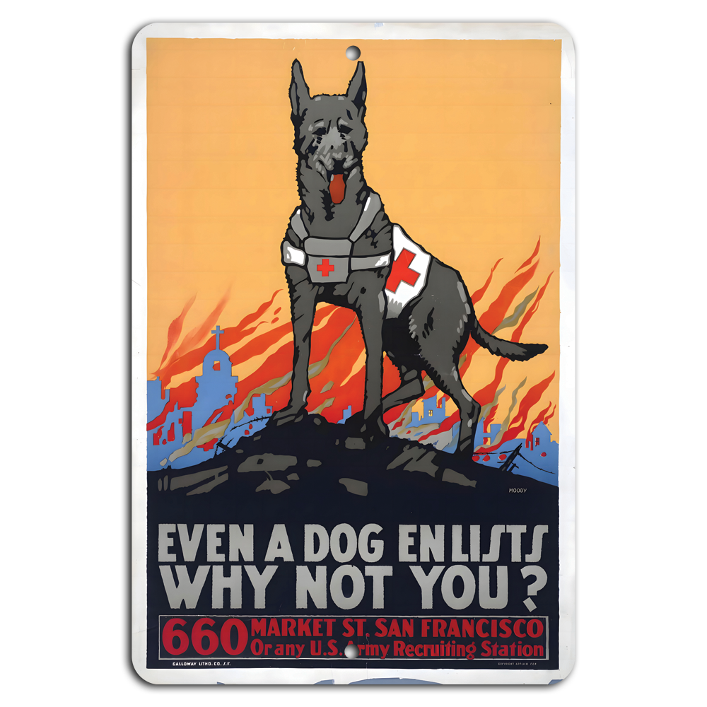 Join the Call: Enlist Today Like Our Brave Canines!