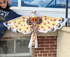 Native American Cloth Kite W Paper Mache Owl /Wall Hanging Folk Art Tribal