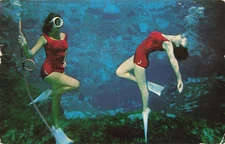 Postcard Spring Hill, FL: Weeki Wachee Mermaids, Underwater Theatre